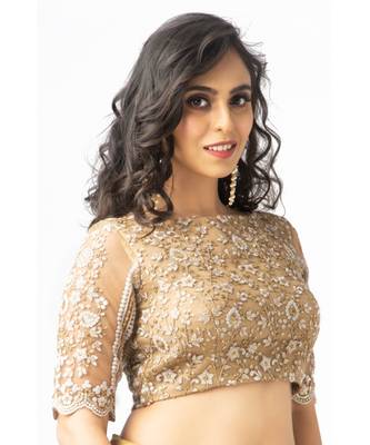 Gold Thread work net Blouse 3