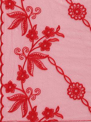 Red Net Embroidered Dupatta 4