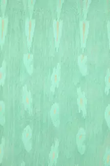 Green Pure Cotton Hand Woven Saree Without Blouse