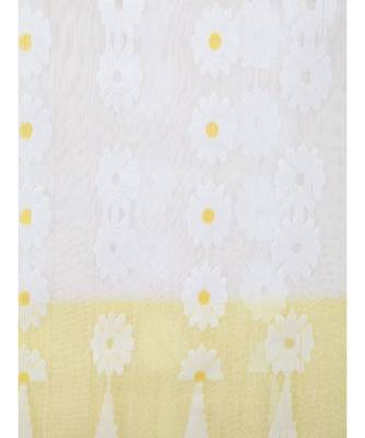 White Pure Cotton Hand Woven Saree Without Blouse 4