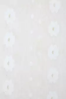 White Pure Cotton Hand Woven Saree Without Blouse