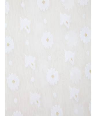 White Pure Cotton Hand Woven Saree Without Blouse 4