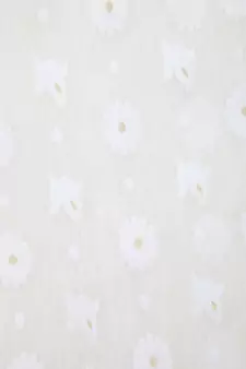 White Pure Cotton Hand Woven Saree Without Blouse