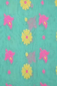 Green Pure Cotton Hand Woven Saree Without Blouse