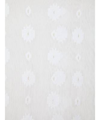 White Pure Cotton Hand Woven Saree Without Blouse 4
