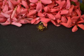 Twinkling Fancy Gold Multi Diamond nose ring or nose pin  1