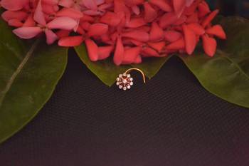 Shimmering Graceful Gold cubic zirconia nose ring or nose pin  2