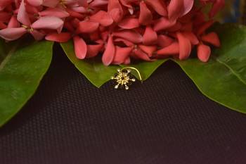 Designer Gold cubic zirconia Black Spikes nose ring or Nose Pin 1