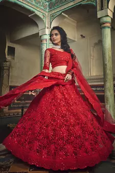 Red Zarkan And Dori Embroidered Net Designer Lehenga Choli
