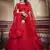 Glamorous Red Zarkan And Dori Embroidered Net Fabric designer Lehenga choli
