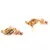 Multicolor Gold plated Earrings