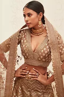 brown golden sequins work art silk bridal wedding heavy lehenga set choli with dupatta with dupatta