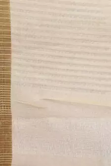 Gold tissue woven  saree with  blouse