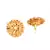 Gold earrings