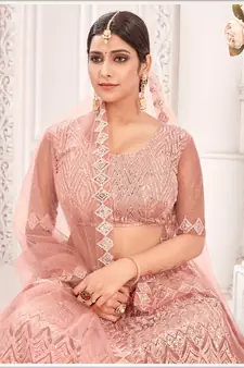 Peach embroidered net  lehenga
