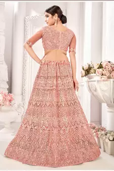 Peach embroidered net  lehenga