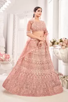 Peach embroidered net  lehenga