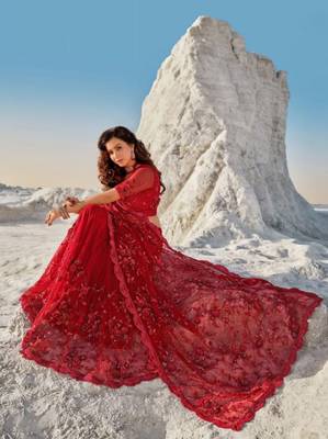 Red embroidered net saree with blouse 2