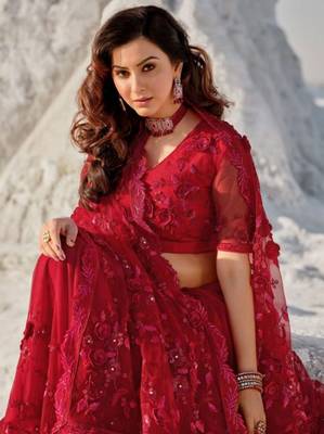 Red embroidered net saree with blouse 3