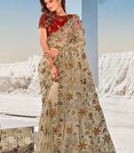 Chiku embroidered net saree with blouse