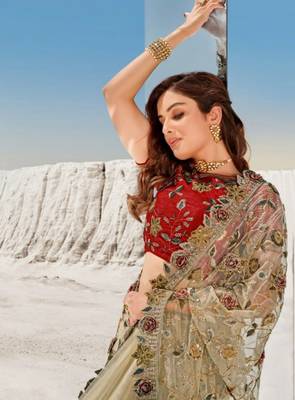 Chiku embroidered net saree with blouse 3