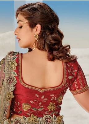 Chiku embroidered net saree with blouse 4