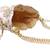 Premium Quality Women's Stylish Potli Bag, White