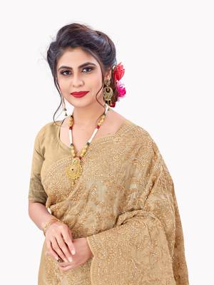 Beige plain chiffon saree with blouse 2