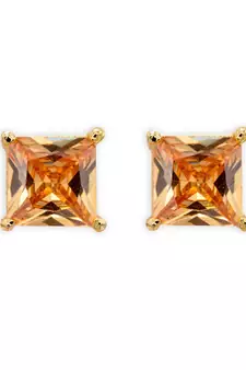 Brown earrings