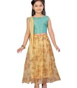 Fawn self design net stitched lehenga