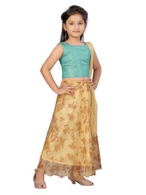 Fawn self design net stitched lehenga 2