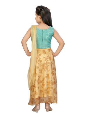 Fawn self design net stitched lehenga 3
