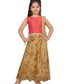 Fawn self design net stitched lehenga