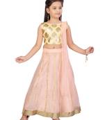 Peach printed net stitched lehenga