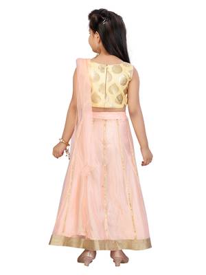 Peach printed net stitched lehenga 3