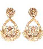Brown earrings