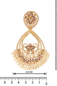 Brown earrings