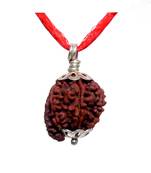 55carat Brown Rudraksha Silver Pendant