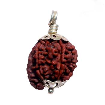 55carat Brown Rudraksha Silver Pendant 2