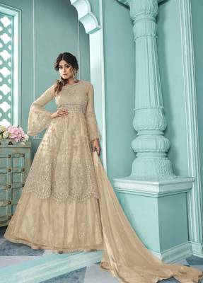 Beige Soft Net Indo western Style with Embroidery Work 1