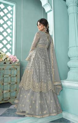 Grey Soft Net Indo western Style with Embroidery Work 2