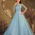 Sky blue FOILAGE PRINT NET EVENING LONG GOWN