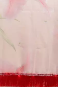 Light Peach Organza Digital Printed Saree With Art blouse piece