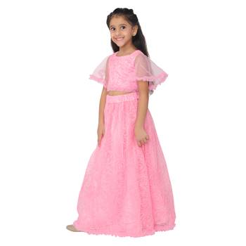 Pink embroidered faux net girls-top-bottom 2