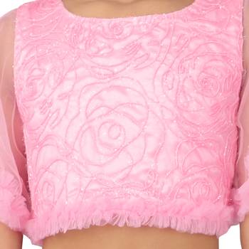 Pink embroidered faux net girls-top-bottom 5