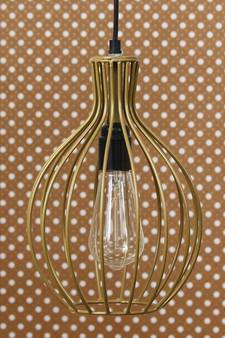Edison Filament Golden Finish Diamond Cage Pendant Light  Ceiling Hanging Lamp for Home Living Room Offices Restaurants