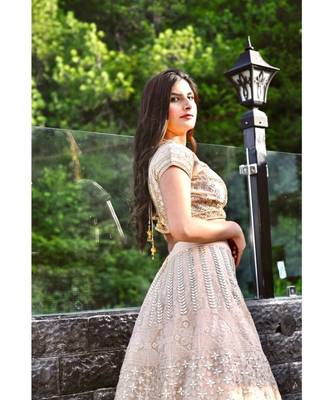 Ethnic pink lehenga 3