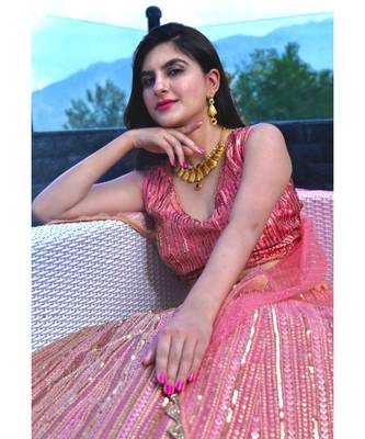 Gorgeous shades of pink antique lehenga 2