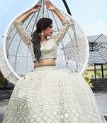 Beautiful embroidered pastel green lehenga