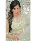 Beautiful embroidered pastel green lehenga